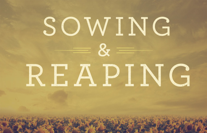 Sowing_&_Reaping_std_t_nv